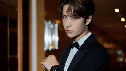 伯贤认哥爆料视频大全集,揭秘偶像背后的真实生活