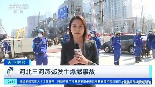 德国记者爆料事件真相视频,事件背后惊人内幕曝光