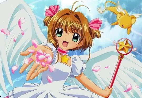 无差别小樱爆料视频,揭秘神秘事件背后的真相